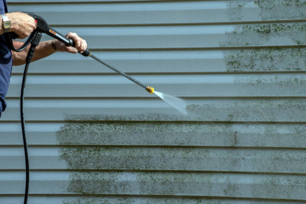 Best Exterior Home Cleaning  in Cohoe, AK