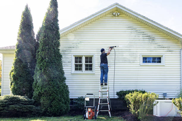 Best Best Pressure Washing Companies  in Cohoe, AK
