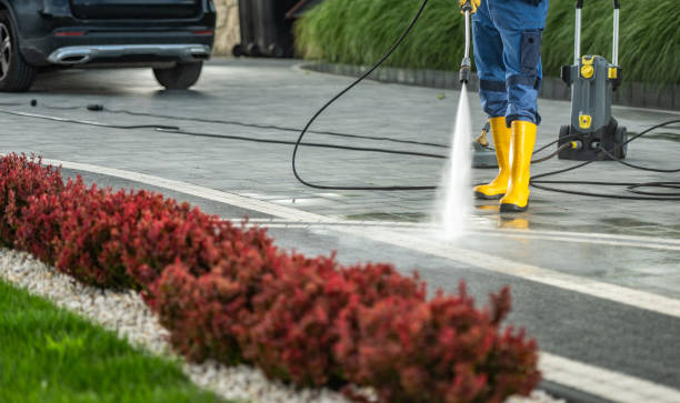 Best Residential Pressure Washing Services  in Cohoe, AK