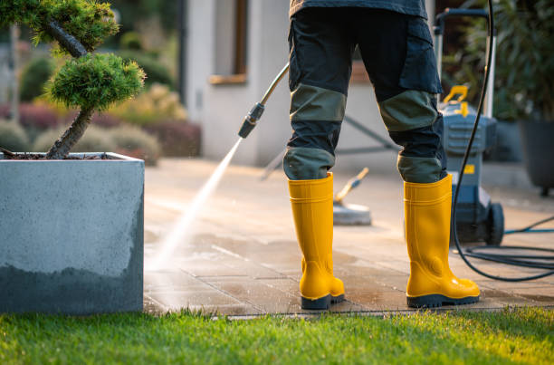 Best Concrete Pressure Washing  in Cohoe, AK